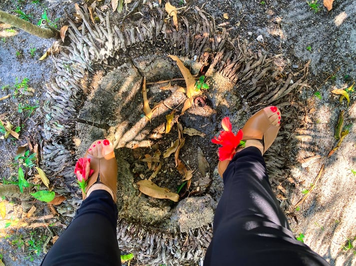 melissa-april-7th-_001-1